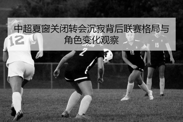 中超夏窗关闭转会沉寂背后联赛格局与角色变化观察